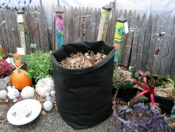 Compost for the Holidays Easier Than You Think. Speaking of